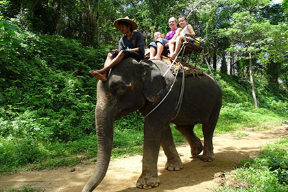 elefant trekking