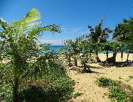 Karon beach, homokos part, kék tenger pálmafák