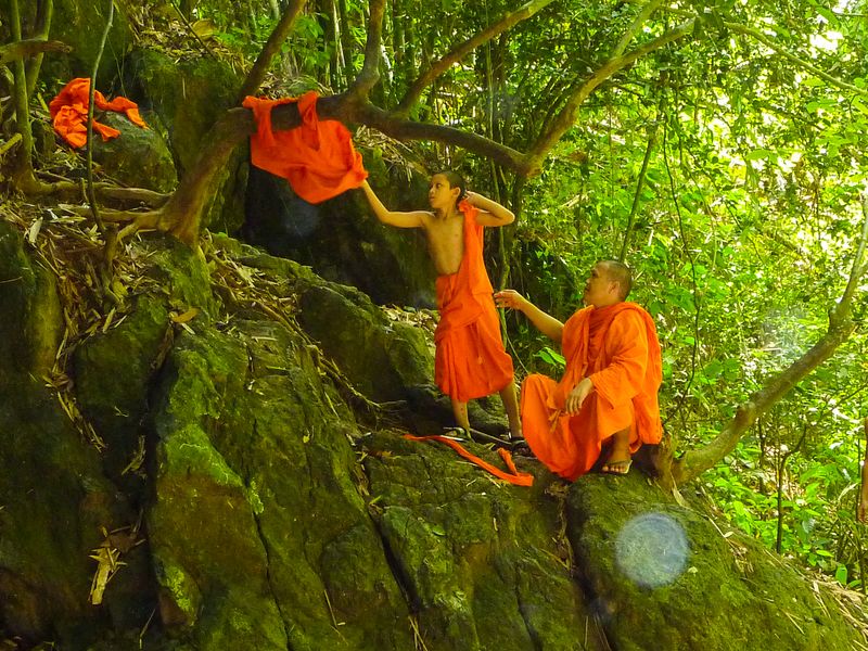 szerzetesek az erdőben