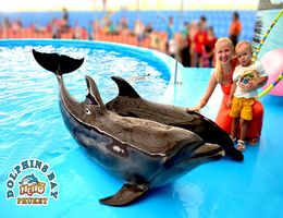 Delfin show Phuket szigeten