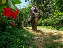 Thaiföld: elefántolás Phuket szigeten