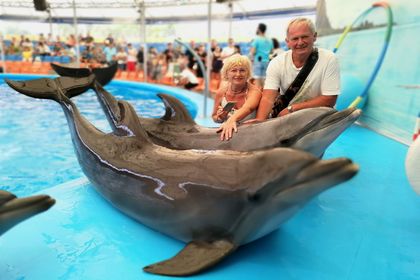 Delfin és fóka show Phuket szigeten