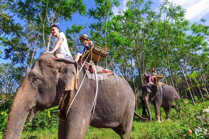 Elefántolás Phuket szigeten
