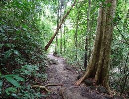 Phuket dzsungel és vízesés kirándulás