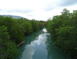 Phuket dzsungel és vízesés kirándulás